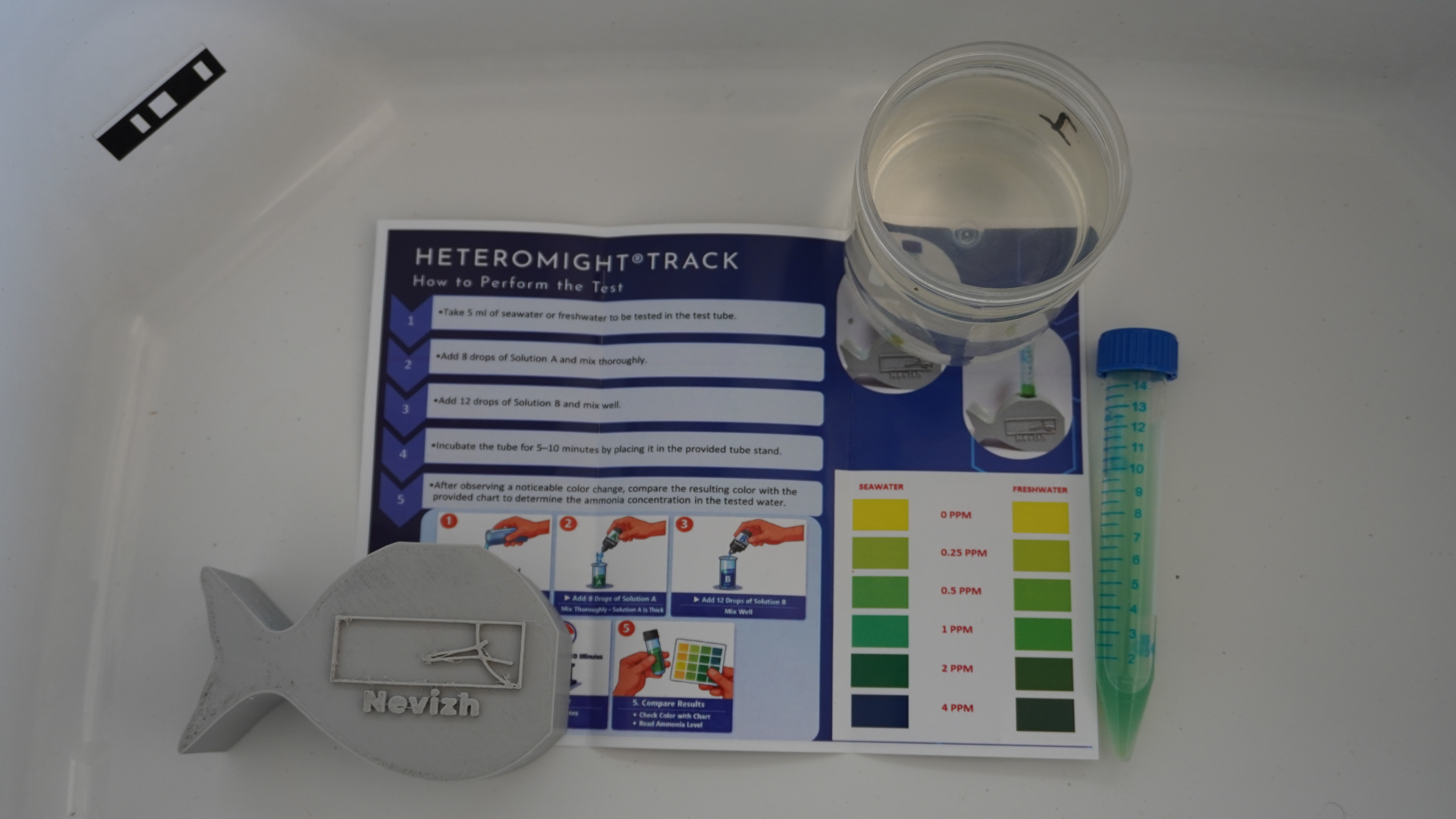 Mysis 1 stage water at 1 ppm level of ammonia in a hatchery setup